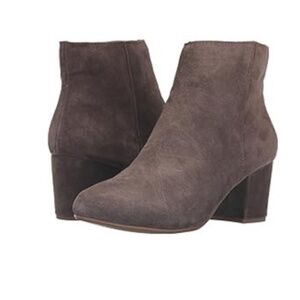 Steve Madden || Holster grey suede ankle booties